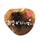 てぃおちゃん（個別スタンプ：2）