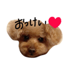 てぃおちゃん（個別スタンプ：5）