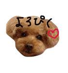 てぃおちゃん（個別スタンプ：16）