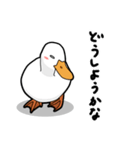 無心なアヒル（個別スタンプ：7）