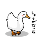 無心なアヒル（個別スタンプ：9）