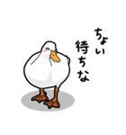 無心なアヒル（個別スタンプ：13）