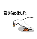 無心なアヒル（個別スタンプ：15）