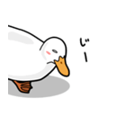 無心なアヒル（個別スタンプ：16）