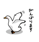 無心なアヒル（個別スタンプ：17）