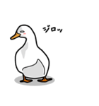 無心なアヒル（個別スタンプ：24）