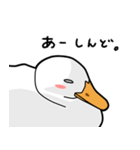 無心なアヒル（個別スタンプ：25）