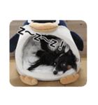 DOG ＆ DOG（個別スタンプ：10）