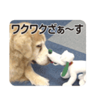 DOG ＆ DOG（個別スタンプ：19）