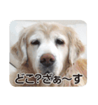 DOG ＆ DOG（個別スタンプ：24）