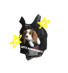 Daisy Dog（個別スタンプ：6）