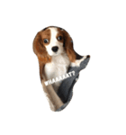 Daisy Dog（個別スタンプ：7）