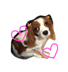 Daisy Dog（個別スタンプ：14）