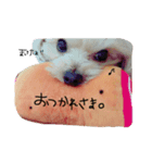 くうちゃん。（個別スタンプ：8）