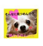 リュウちゃん（個別スタンプ：3）
