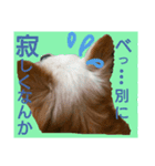 リュウちゃん（個別スタンプ：6）