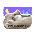 UME ねこ生活①（個別スタンプ：2）