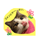 UME ねこ生活①（個別スタンプ：8）