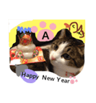 UME ねこ生活①（個別スタンプ：10）