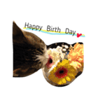 UME ねこ生活①（個別スタンプ：13）