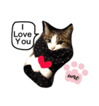 UME ねこ生活①（個別スタンプ：14）