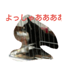 Witch and moon boy（個別スタンプ：14）