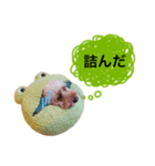 代弁のもか（個別スタンプ：1）