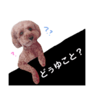 代弁のもか（個別スタンプ：2）