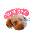 代弁のもか（個別スタンプ：3）