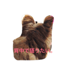 チワワの小町♪日常編2（個別スタンプ：3）