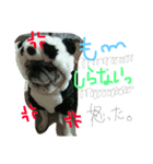pet in family（個別スタンプ：2）
