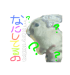 pet in family（個別スタンプ：4）