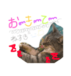 pet in family（個別スタンプ：5）