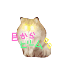 チンチラマリリンのスタンプ（個別スタンプ：7）