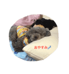 しぇるちゃん②（個別スタンプ：5）