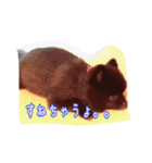ポコ ポコ（個別スタンプ：5）