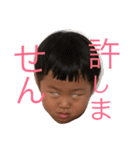 hinatoharu（個別スタンプ：1）