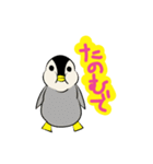 かわいいむっちりペンギン（個別スタンプ：21）