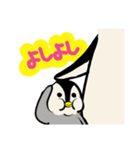 かわいいむっちりペンギン（個別スタンプ：22）