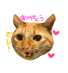 みーちゃろーのご挨拶（個別スタンプ：3）