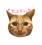 みーちゃろーのご挨拶（個別スタンプ：5）