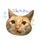 みーちゃろーのご挨拶（個別スタンプ：8）