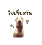LuckyTailTH（個別スタンプ：7）