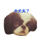 たまごとアッコのきちんと挨拶（個別スタンプ：3）