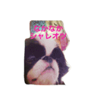 たまごとアッコのきちんと挨拶（個別スタンプ：5）