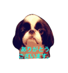 たまごとアッコのきちんと挨拶（個別スタンプ：7）