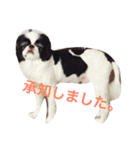 たまごとアッコのきちんと挨拶（個別スタンプ：9）