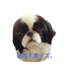 たまごとアッコのきちんと挨拶（個別スタンプ：10）