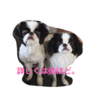 たまごとアッコのきちんと挨拶（個別スタンプ：13）