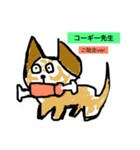 コーギー先生（個別スタンプ：5）